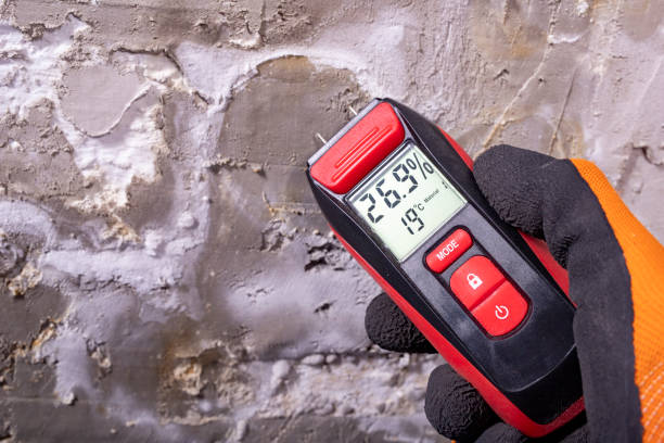 Best Residential Mold Removal  in , NY
