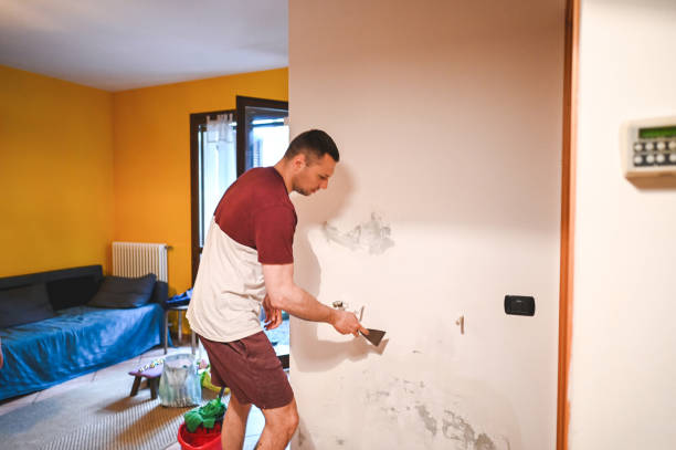 Best Attic Mold Removal  in , NY